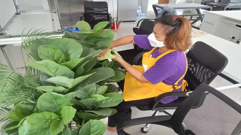 ทำความสะอาด นวมินทร์