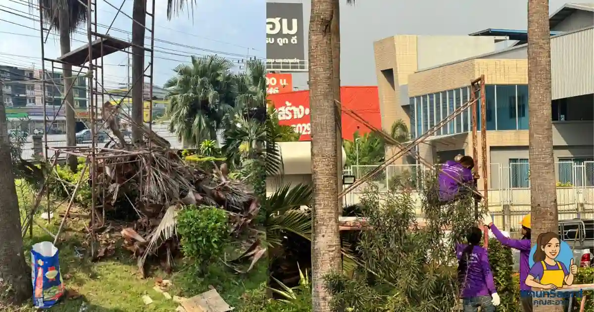 งานตัดแต่งสวนบางพลี