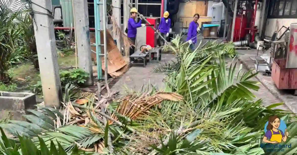 คุณสะอาด